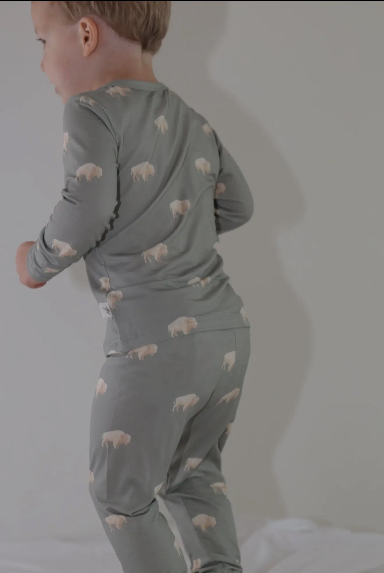 Bison bamboo two piece pajama
