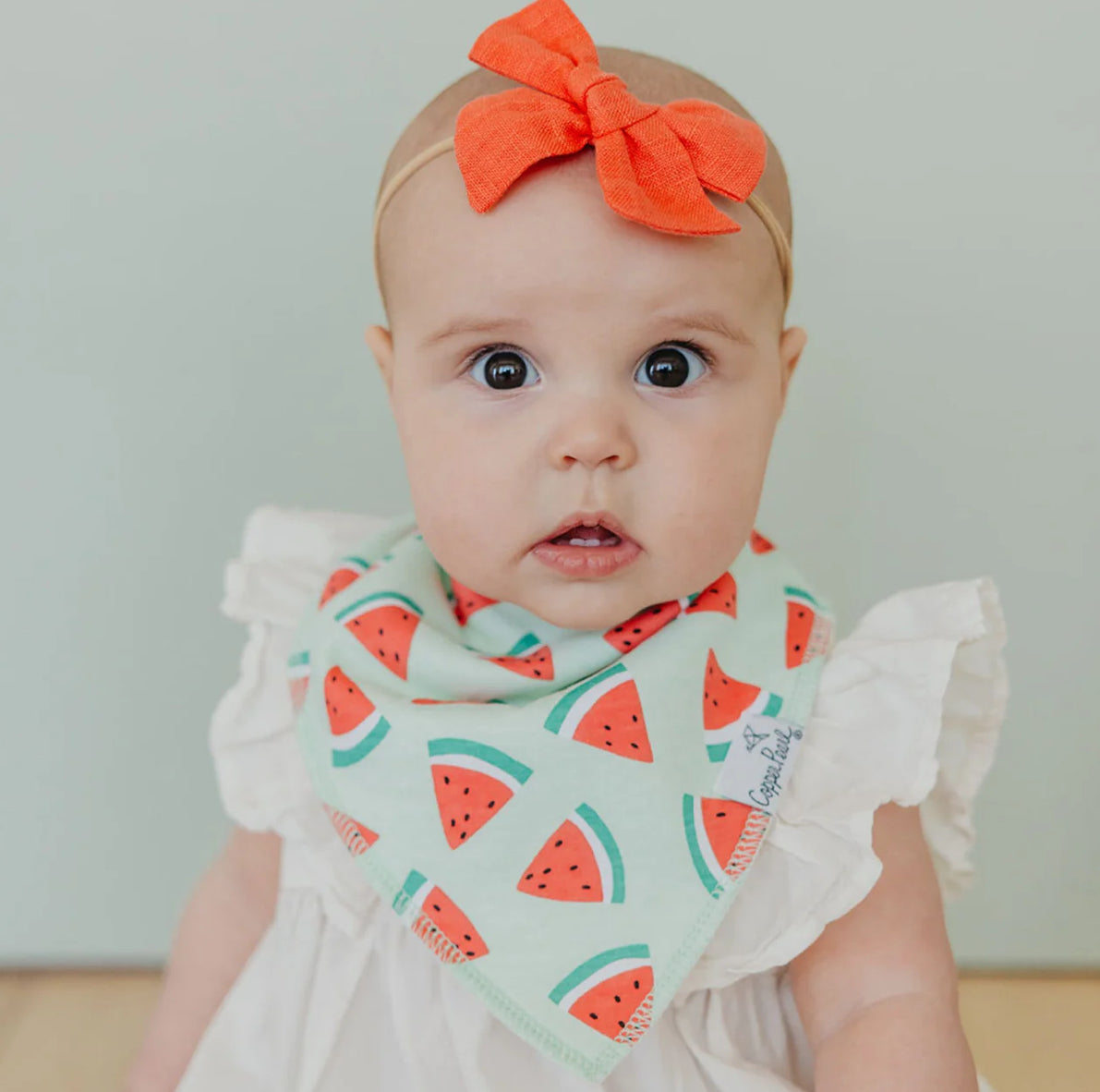 Clementine bandana bib bundle