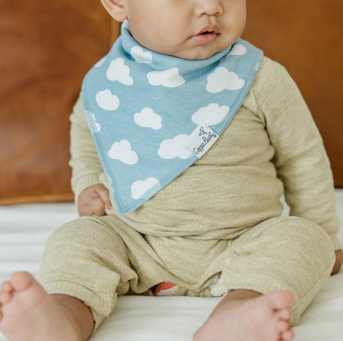 Farmstead bandana bib bundle