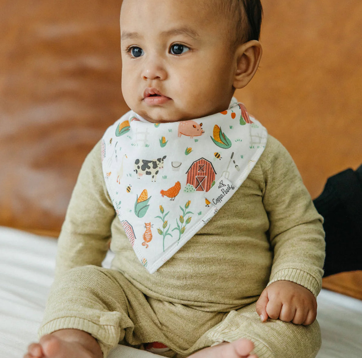Farmstead bandana bib bundle