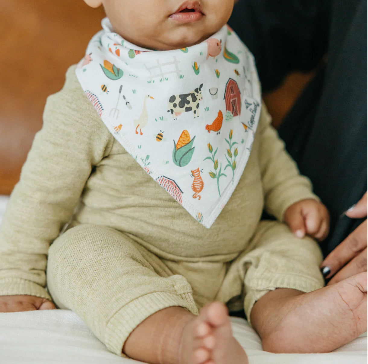 Farmstead bandana bib bundle