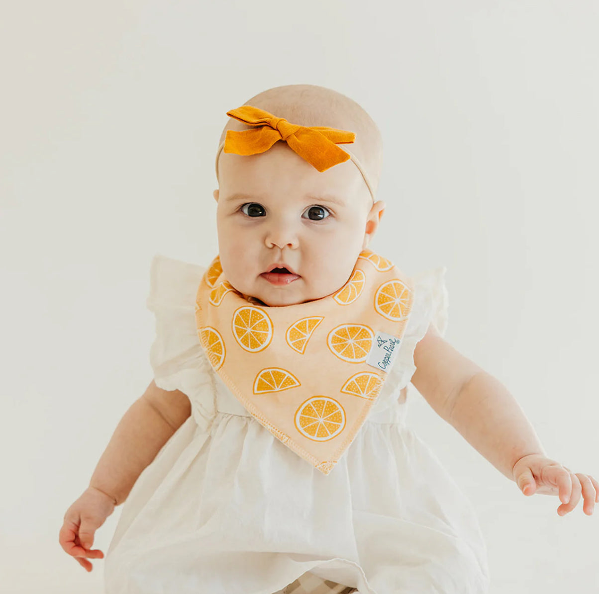 Clementine bandana bib bundle