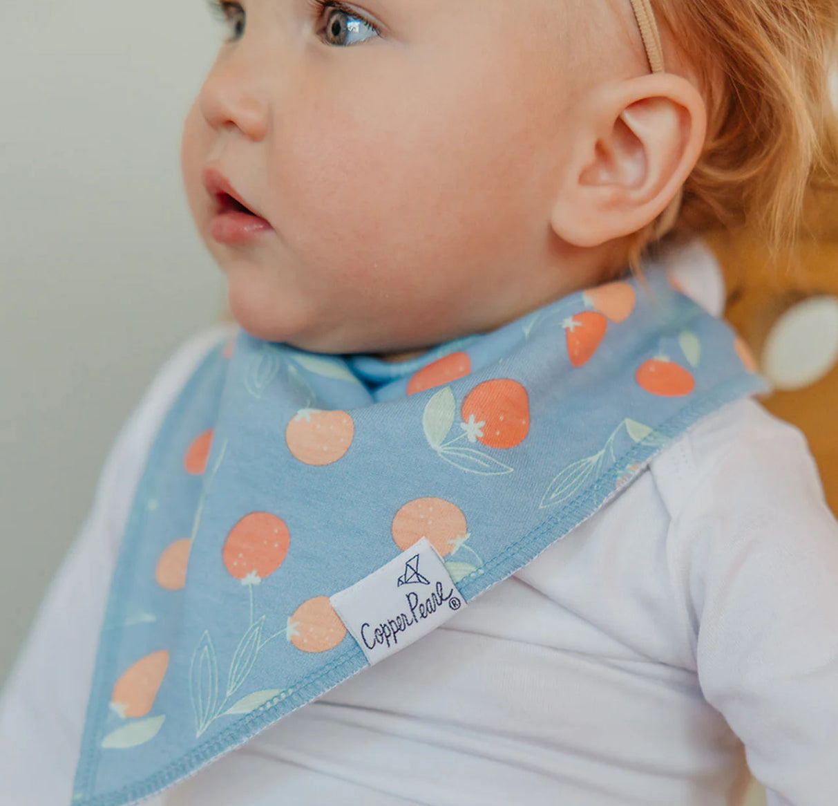 Clementine bandana bib bundle