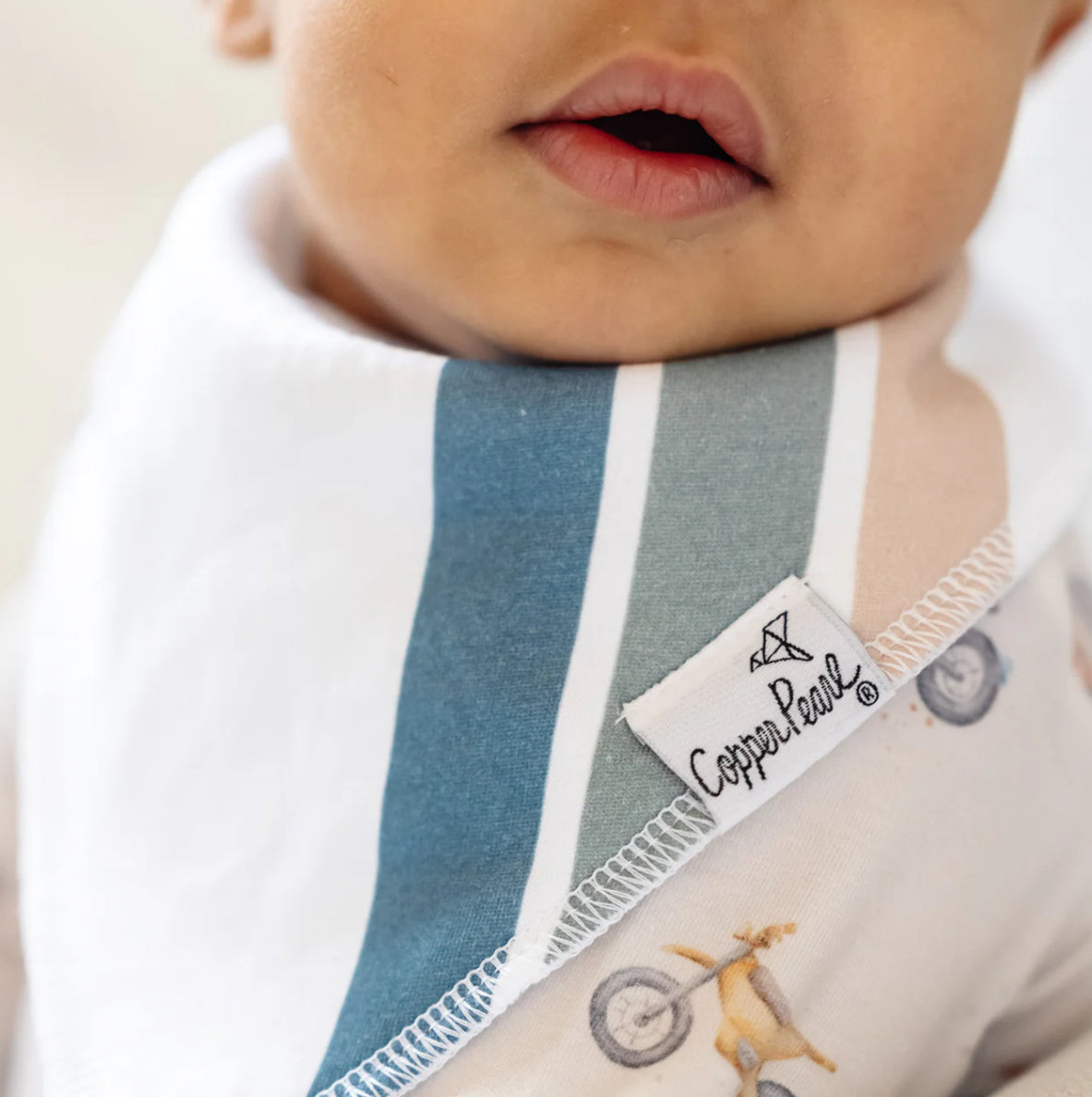 Ryder - bandana bib bundle