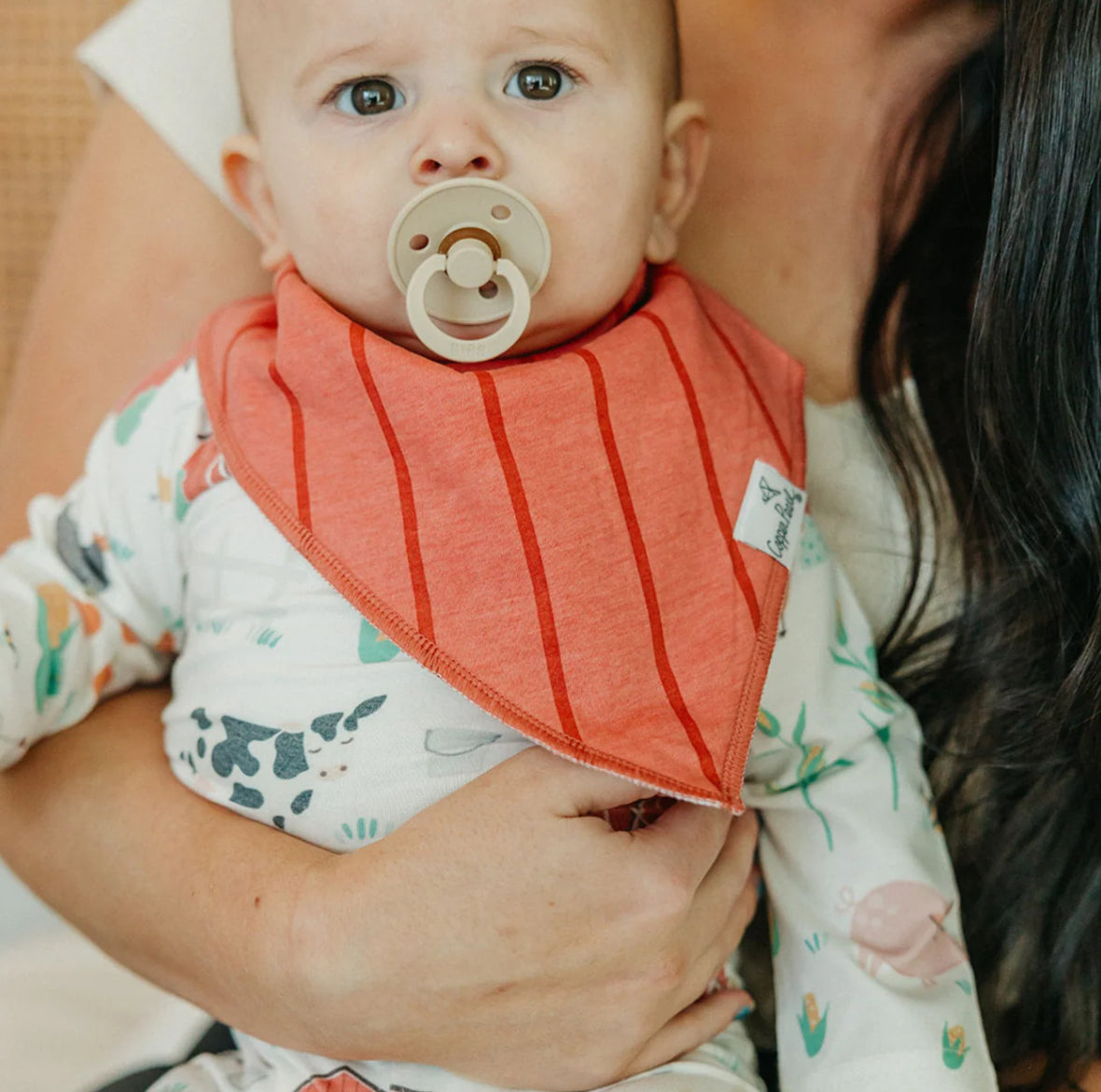 Farmstead bandana bib bundle