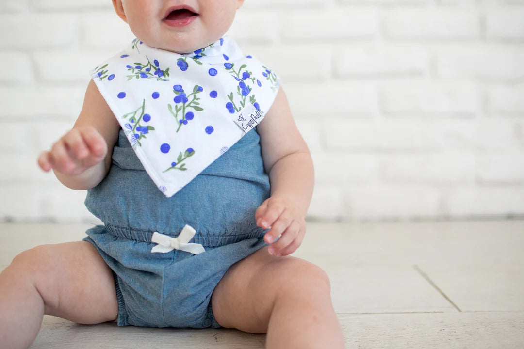 Georgia bandana bibs