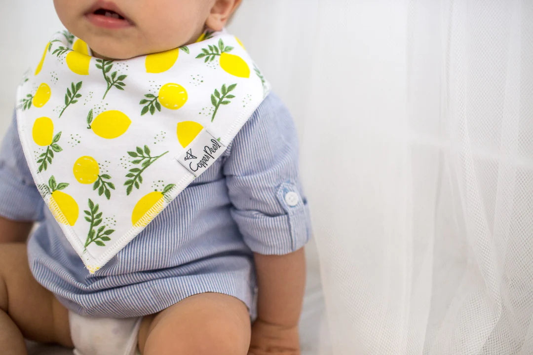 Georgia bandana bibs