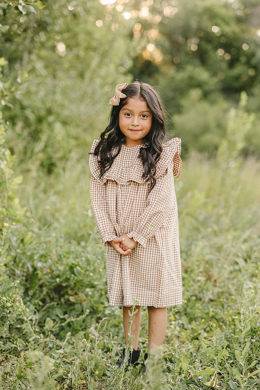 Changing seasons gingham dress