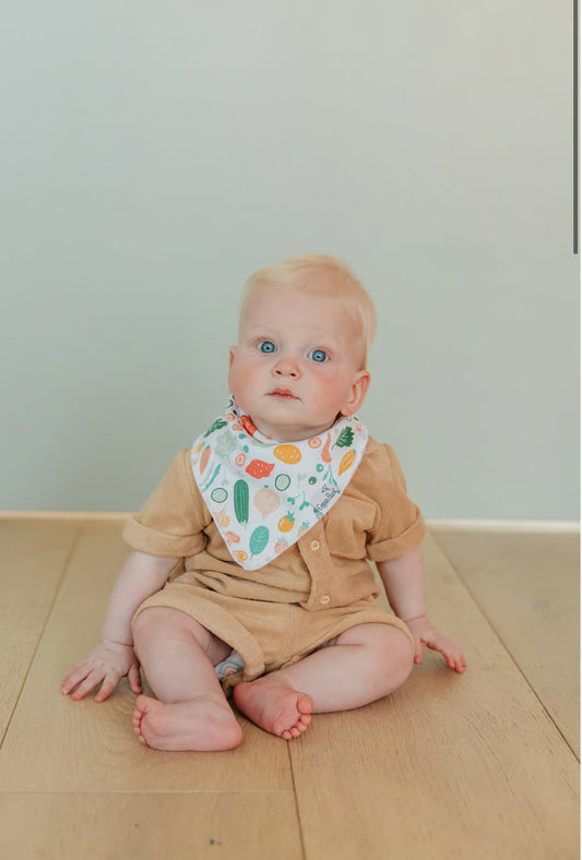 Veggies bandana bib bundle