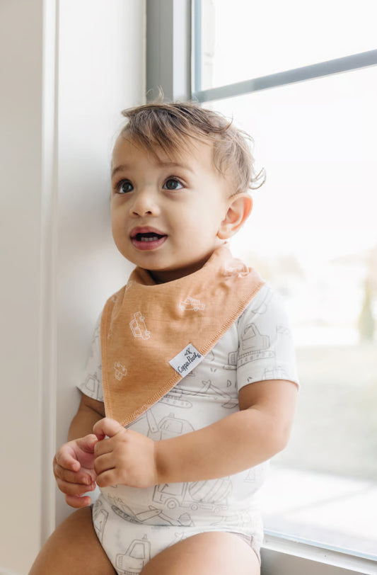Gage bandana bib bundle