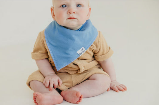 Veggies bandana bib bundle