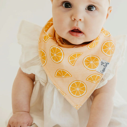 Clementine bandana bib bundle