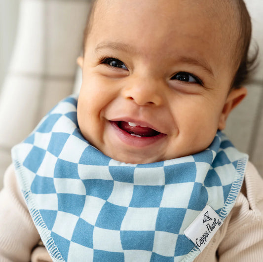 Ryder - bandana bib bundle