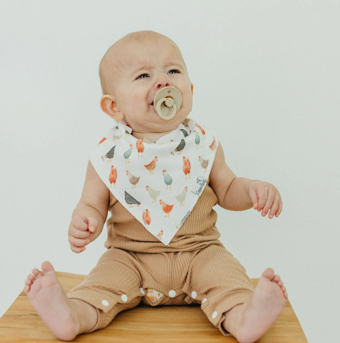 Farmstead bandana bib bundle