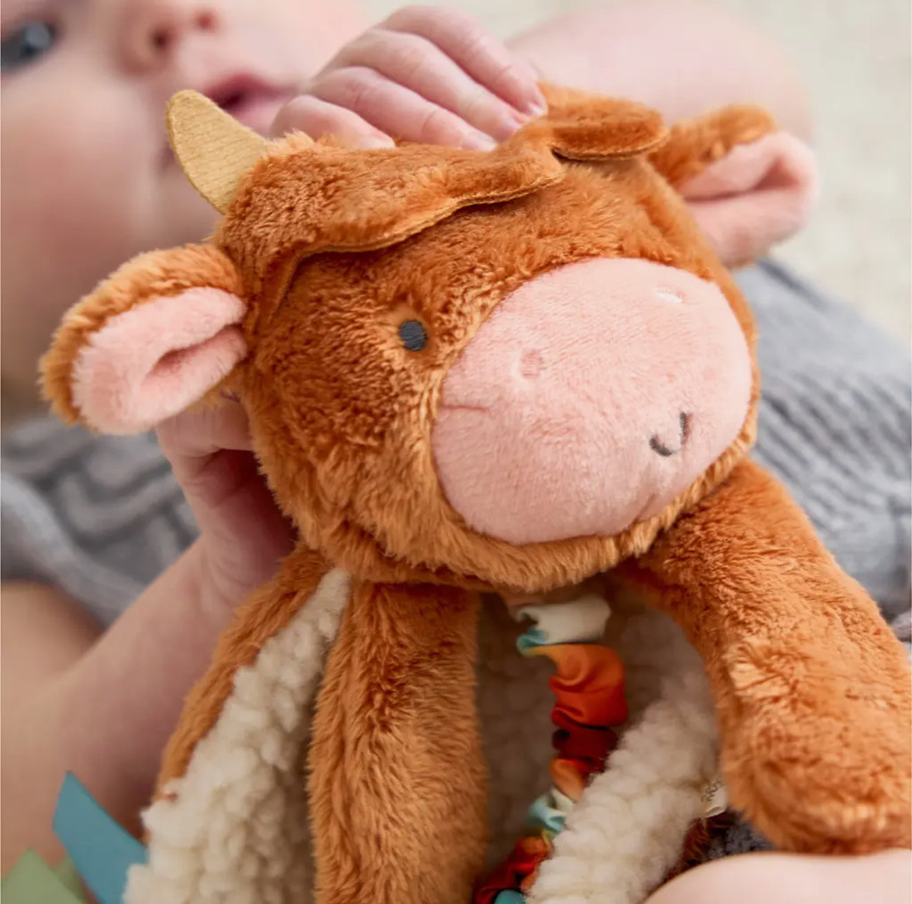 Highland Cow Bitzy Crinkle