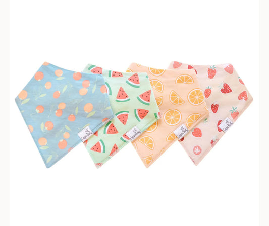 Clementine bandana bib bundle