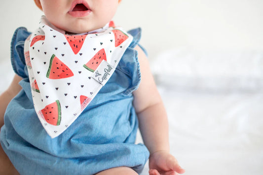 Georgia bandana bibs